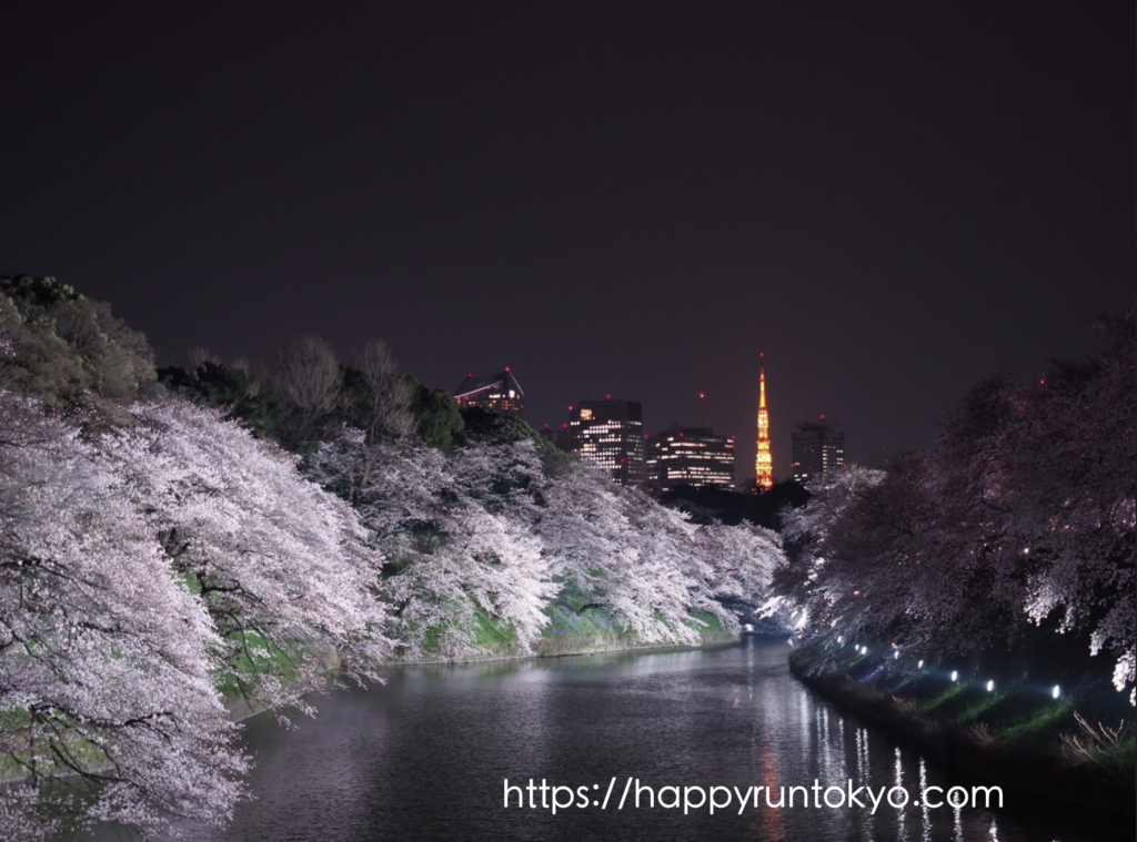 Tokyo sakura run