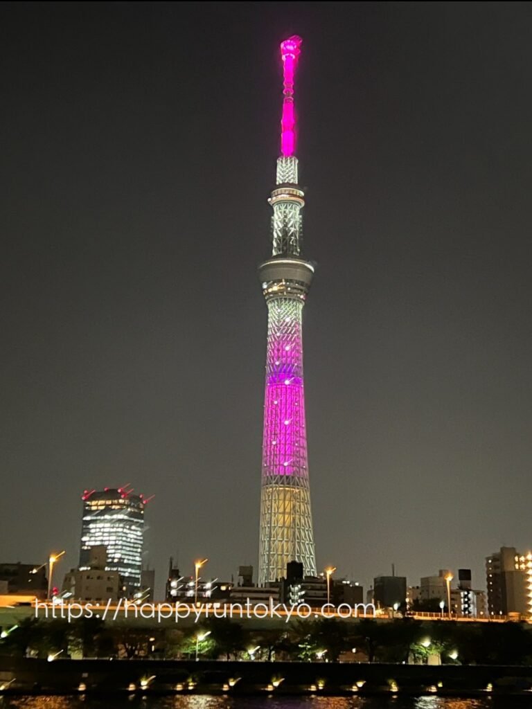 sky tree special light